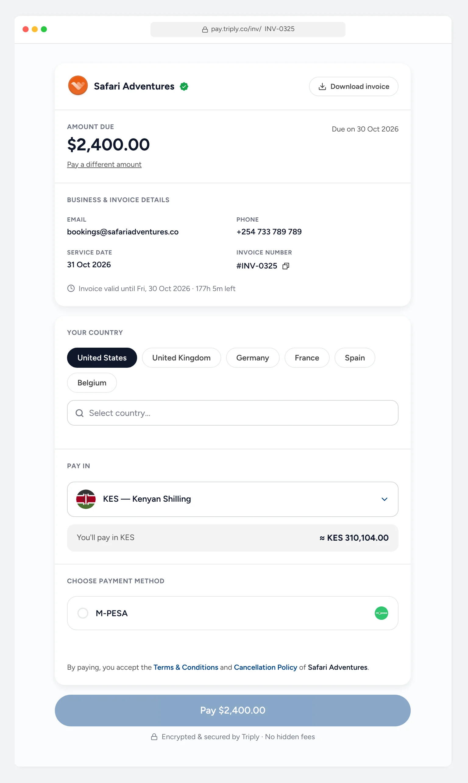 The payer page: Safari Adventures, amount due $2,400.00 due on 30 Oct 2026, pay a different amount, the client’s country, pay in KES at about KES 310,104, mobile money, and Pay $2,400.00.
